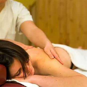 Wellness