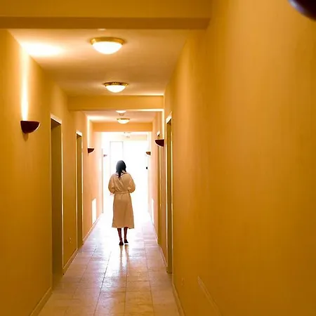 Wellness 4*