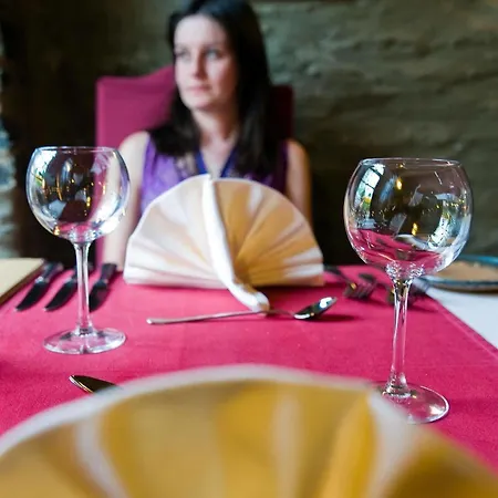 Wellness Szálloda 4*